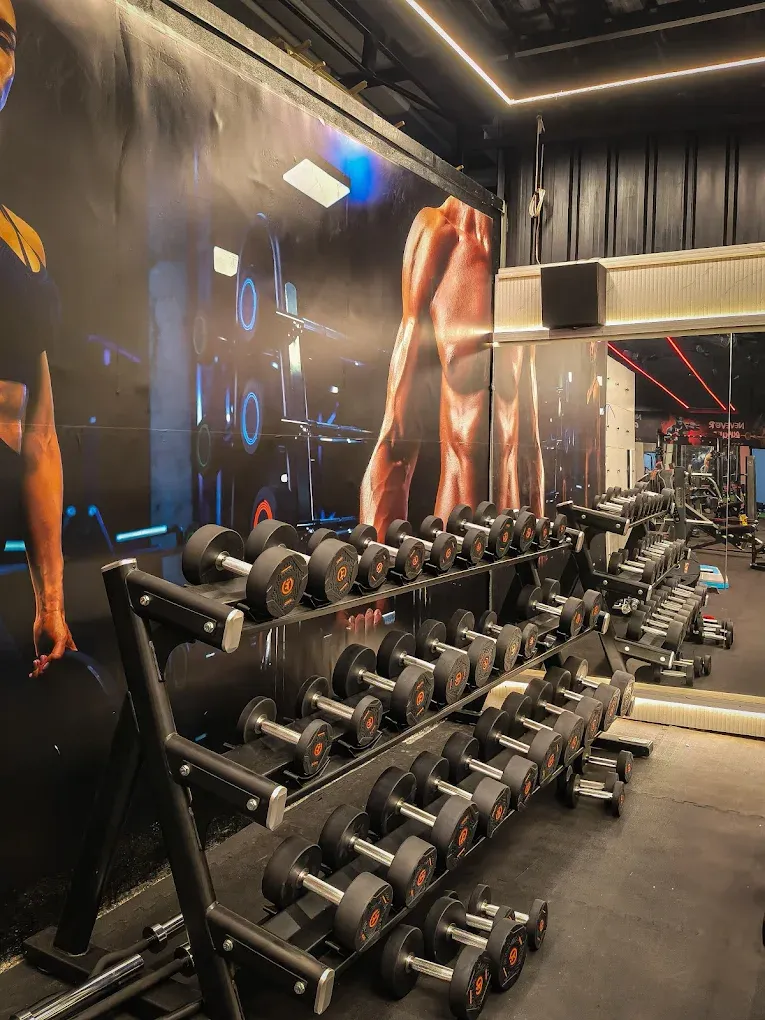 Dumbbell racks at JP Fitness
