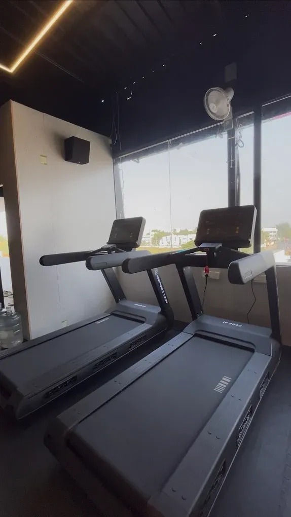 Treadmills by the windows at JP Fitness