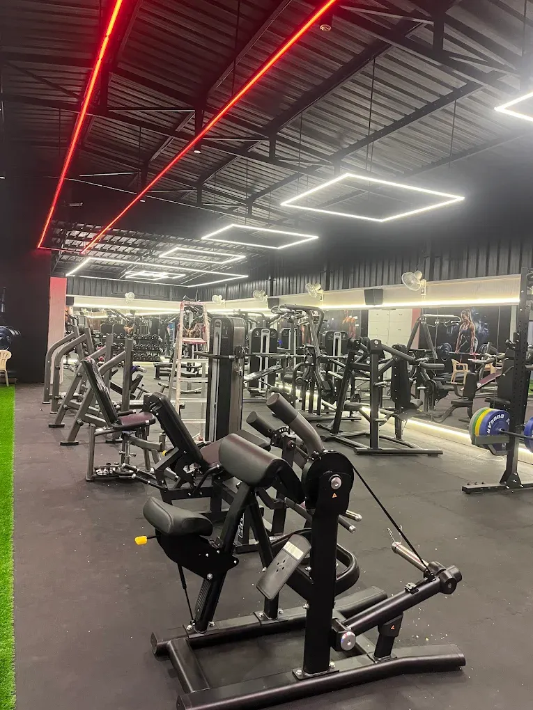 Preacher curl and plate-loaded machines at JP Fitness
